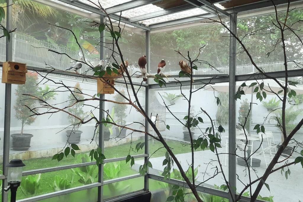 Garden Villa By Villapedia Bogor Ngoại thất bức ảnh